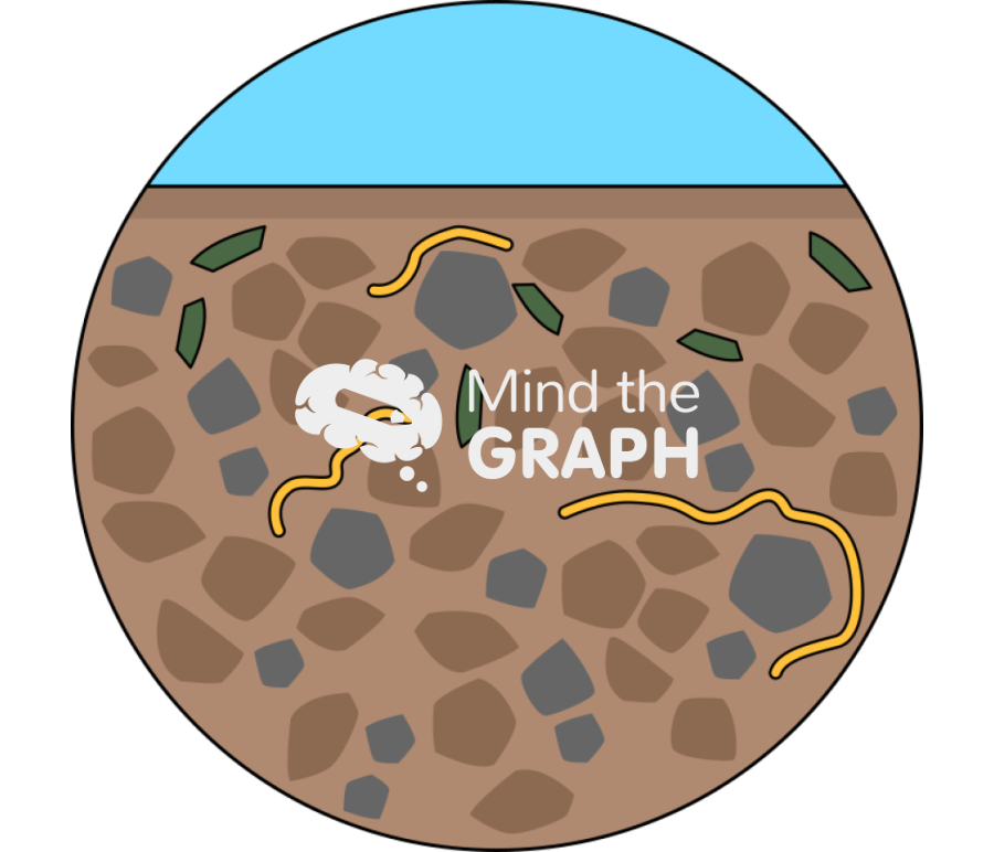 Coarse textured soil zoom Icons, Symbols, Pictures, and Images