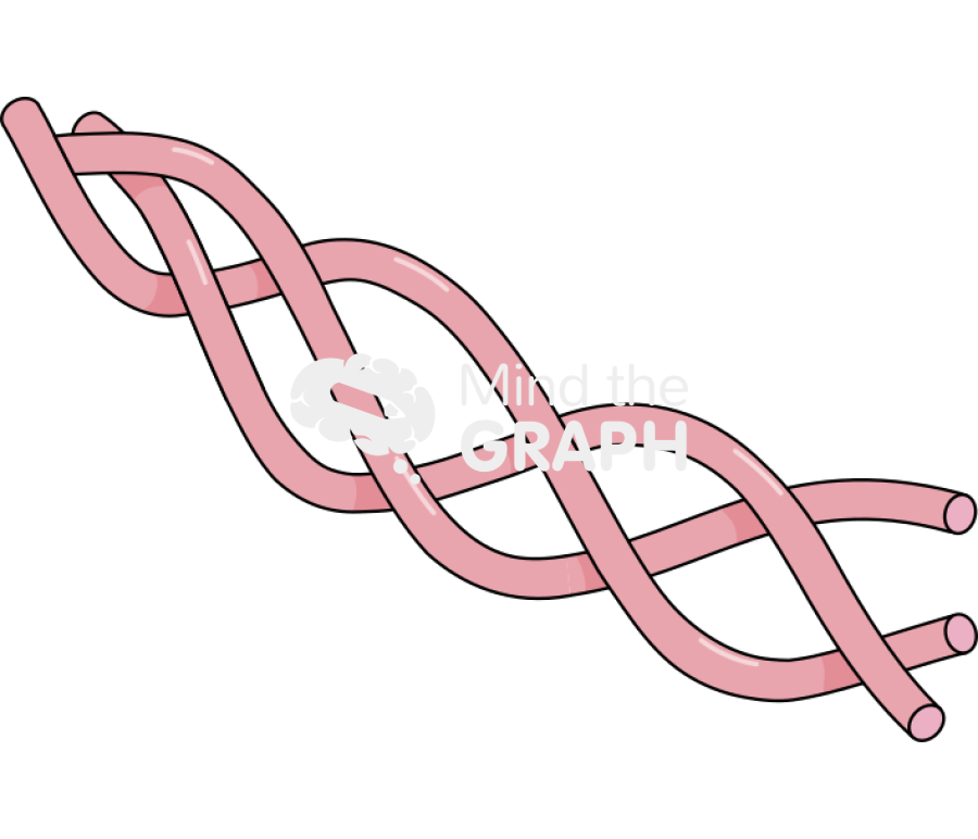 Collagen Icons, Symbols, Pictures, and Images