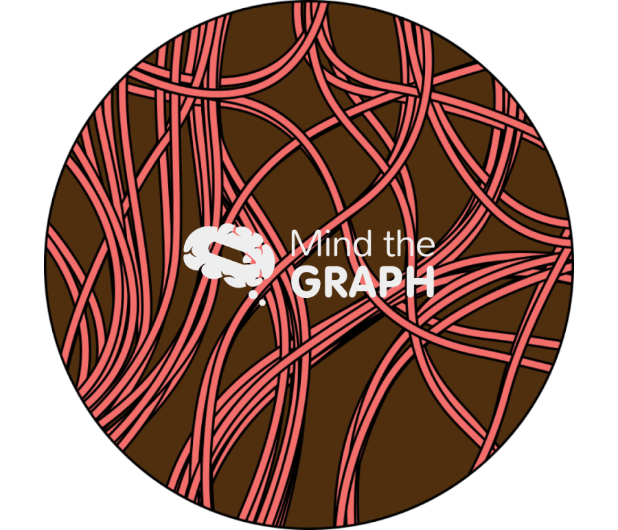 Collagen III scheme zoom Icons, Symbols, Pictures, and Images