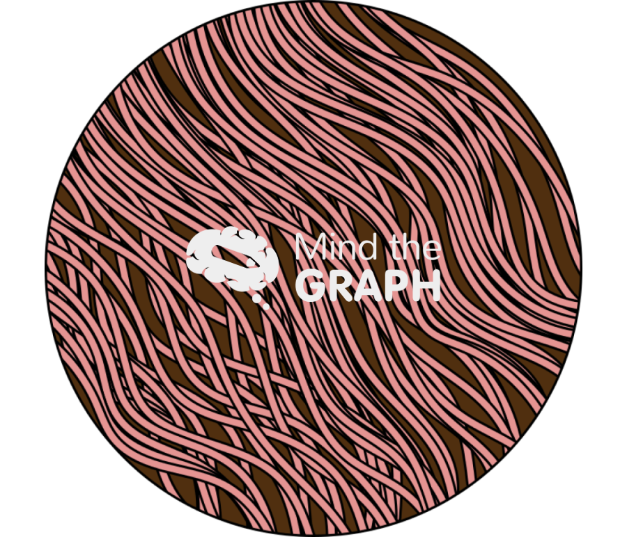 Collagen I scheme zoom Icons, Symbols, Pictures, and Images