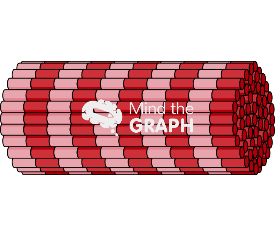 Collagen fiber Icons, Symbols, Pictures, and Images