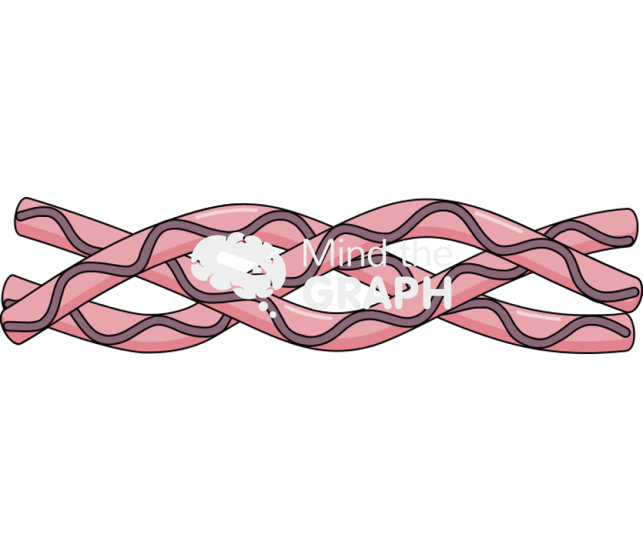 Collagen full Icons, Symbols, Pictures, and Images