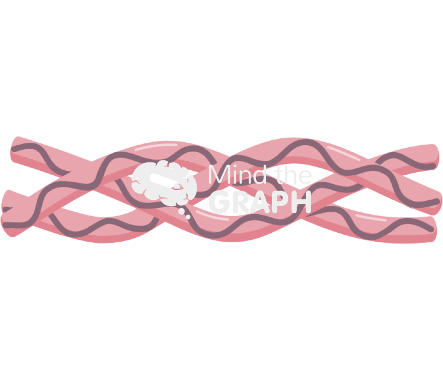 Collagen full Icons, Symbols, Pictures, and Images