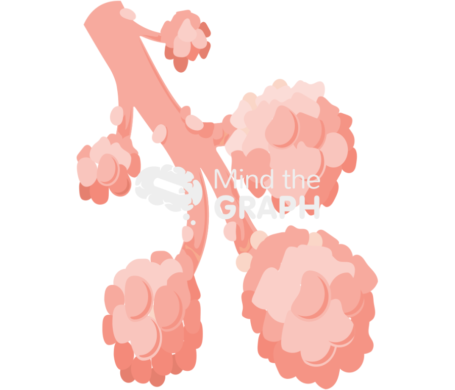 Collapsed alveoli Icons, Symbols, Pictures, and Images