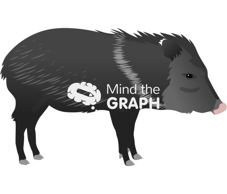 Collared peccary dicotyles tajacu lateral Icons, Symbols, Pictures, and Images