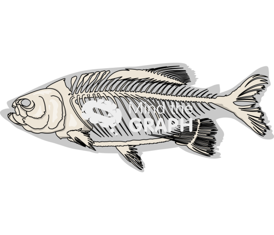 Colossoma macropomum bones lateral Icons, Symbols, Pictures, and Images