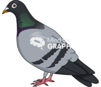 Columbidae bird - Edit and Customize Icons of Columbidae bird Columbidae bird Icons, Symbols, Pictures, and Images