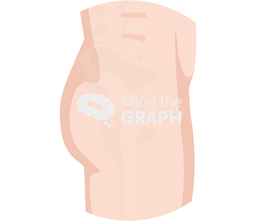 Comparison incisions zoom Icons, Symbols, Pictures, and Images