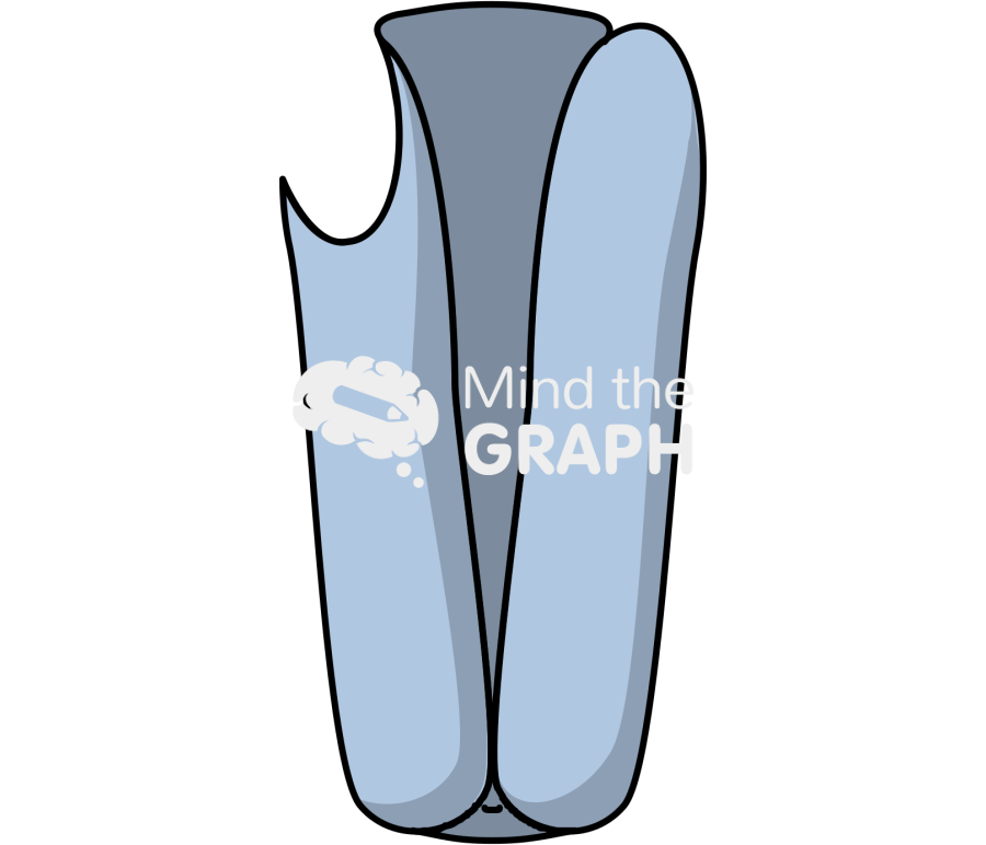 Complex channel 12 Icons, Symbols, Pictures, and Images