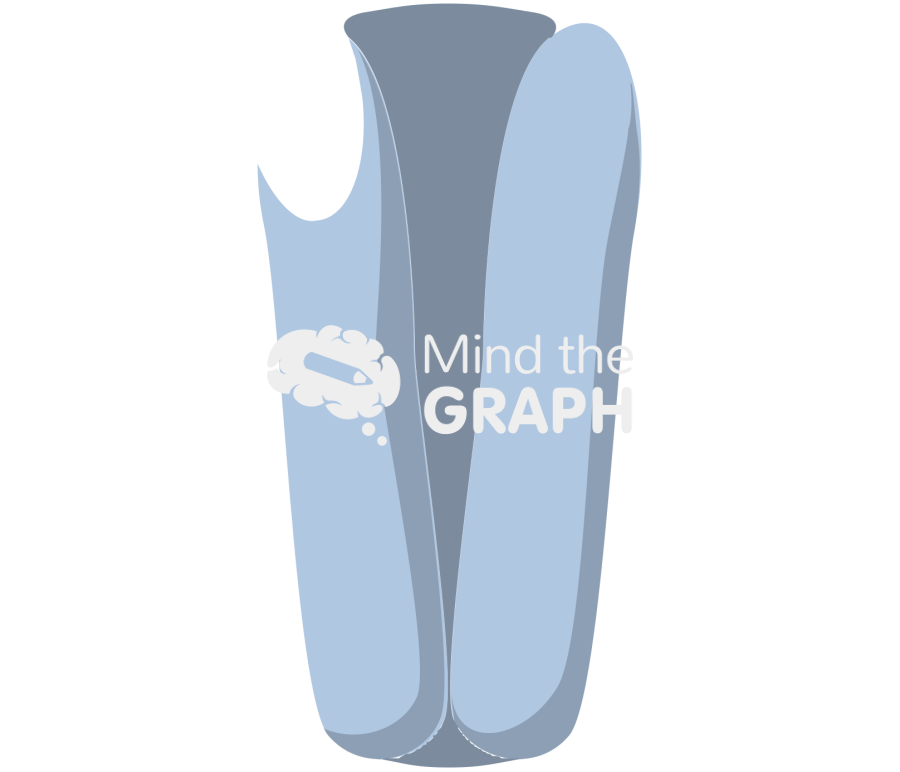 Complex channel 12 Icons, Symbols, Pictures, and Images