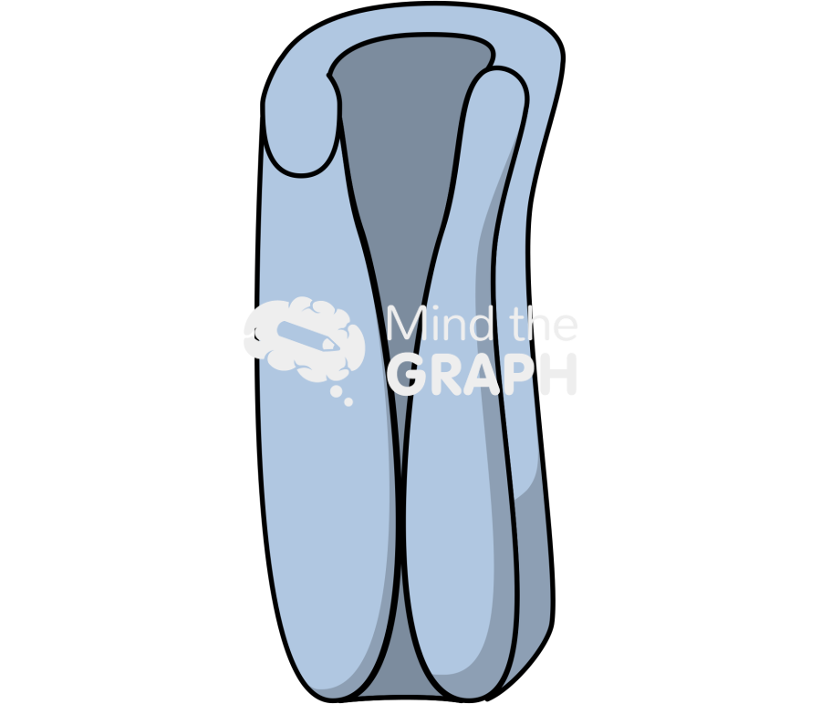 Complex channel 4 Icons, Symbols, Pictures, and Images