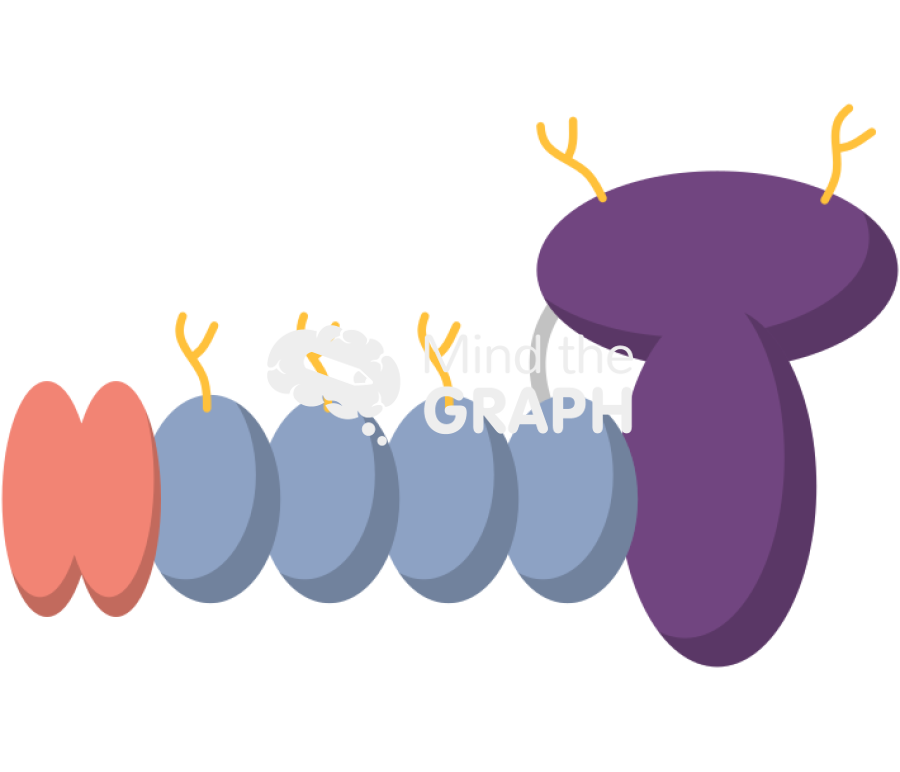 Complex without dystrophin Icons, Symbols, Pictures, and Images
