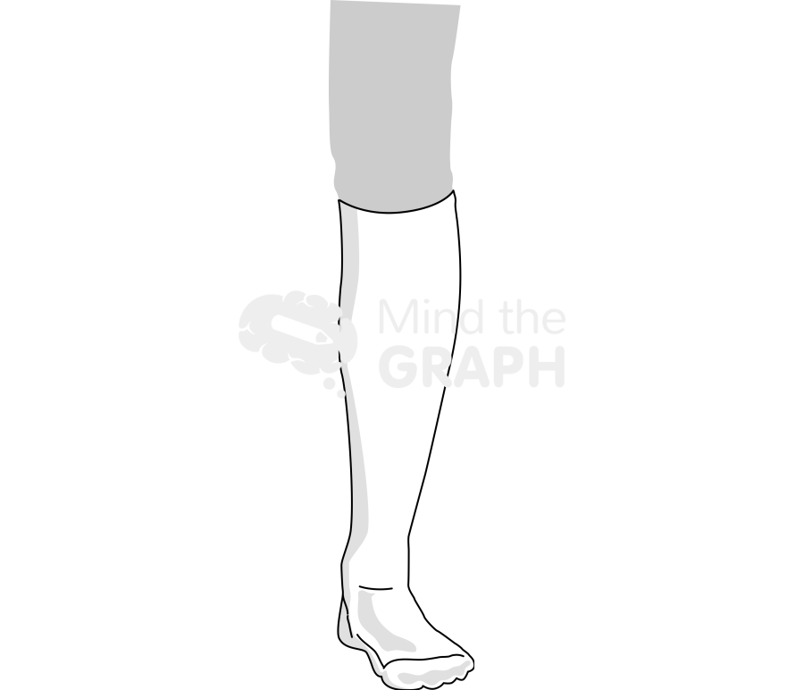 Compressed stocking body Icons, Symbols, Pictures, and Images