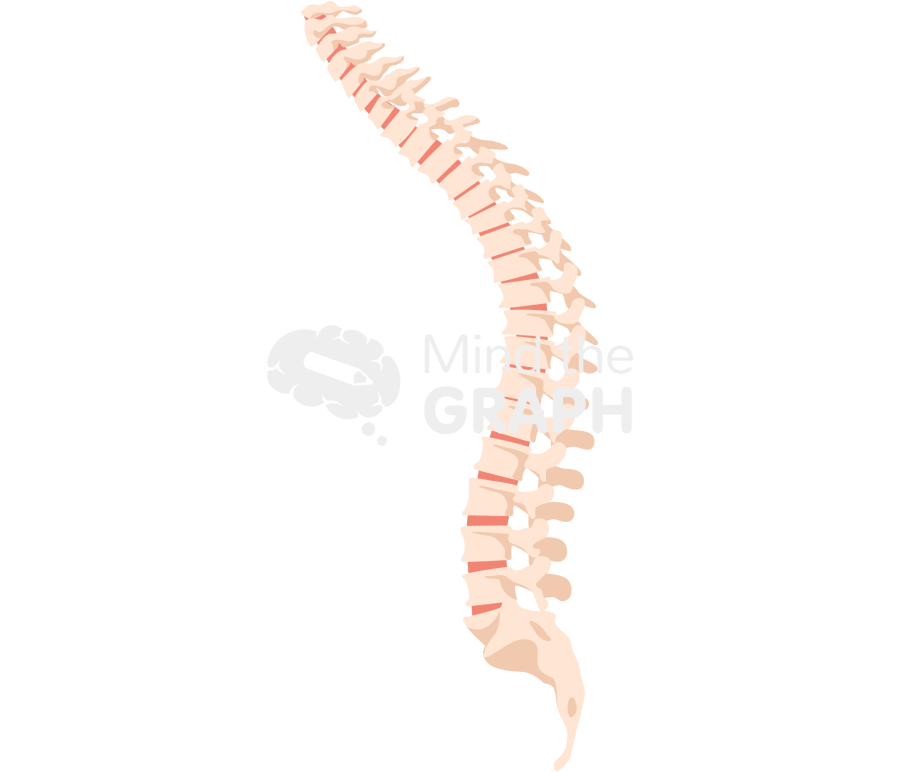 Compression of the vertebrae Icons, Symbols, Pictures, and Images