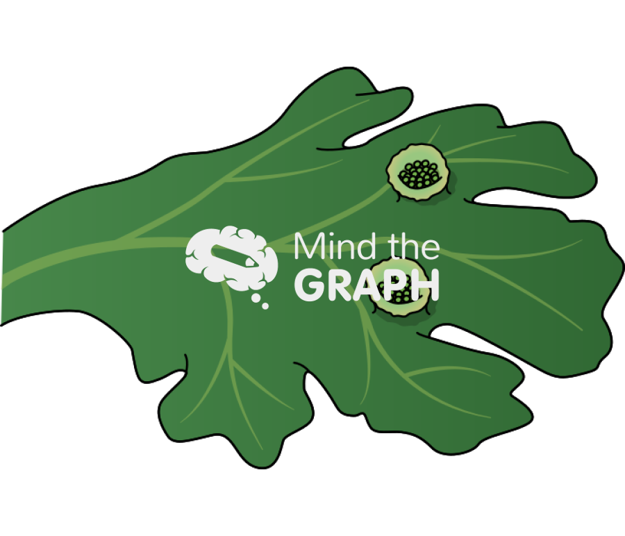 Conceptacle leaf Icons, Symbols, Pictures, and Images