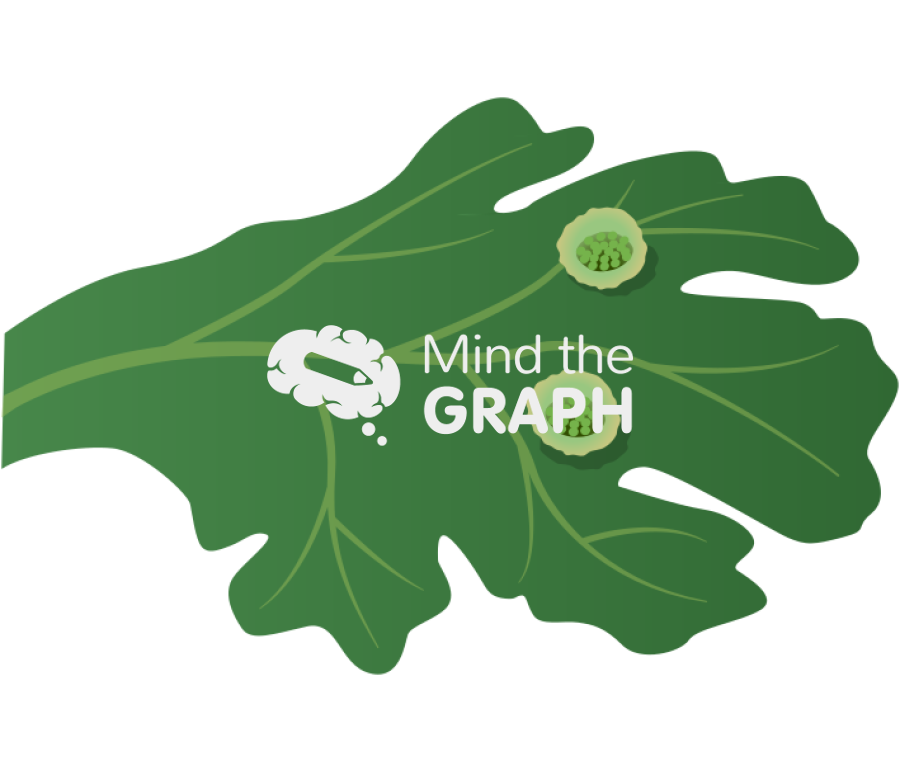 Conceptacle leaf Icons, Symbols, Pictures, and Images