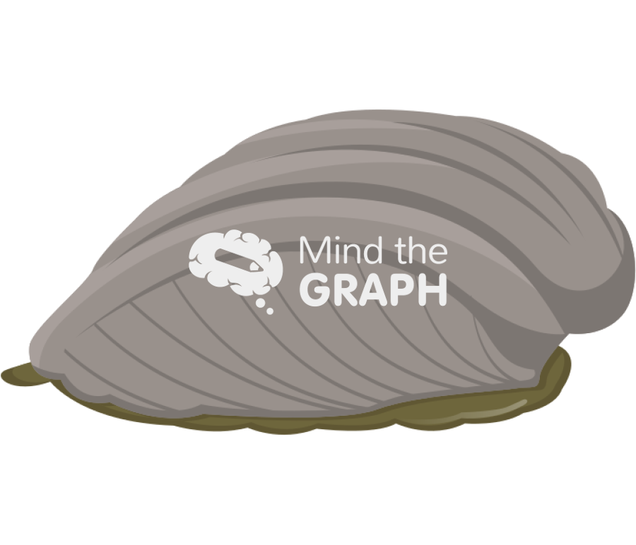 Concholepas concholepas chilean gastropod Icons, Symbols, Pictures, and Images