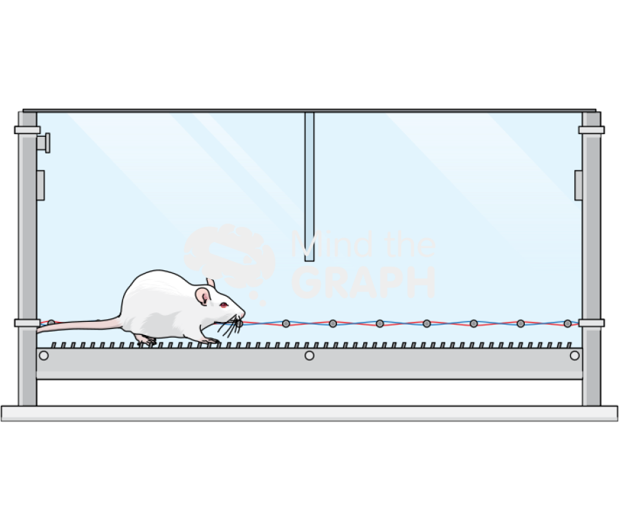 Conditioned place preference Icons, Symbols, Pictures, and Images