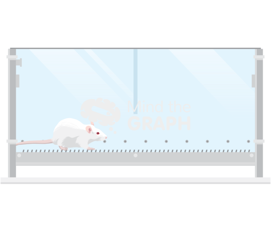 Conditioned place preference Icons, Symbols, Pictures, and Images