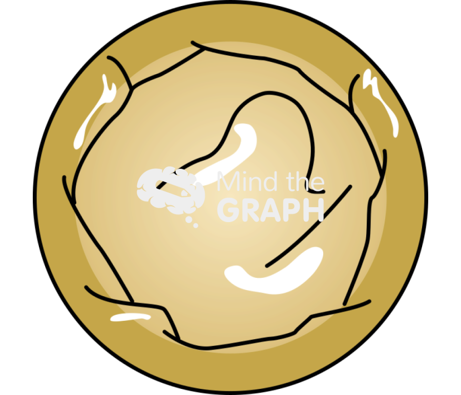 Condom 1 Icons, Symbols, Pictures, and Images