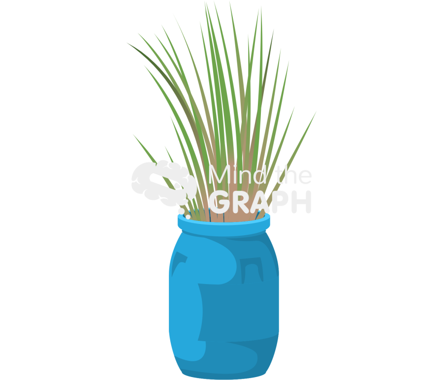 Constructed wetland barrel Icons, Symbols, Pictures, and Images