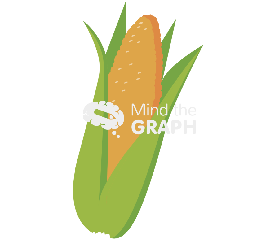 Corn Icons, Symbols, Pictures, and Images