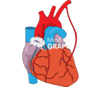 Coronary artery bypass grafting 2 Icons, Symbols, Pictures, and Images