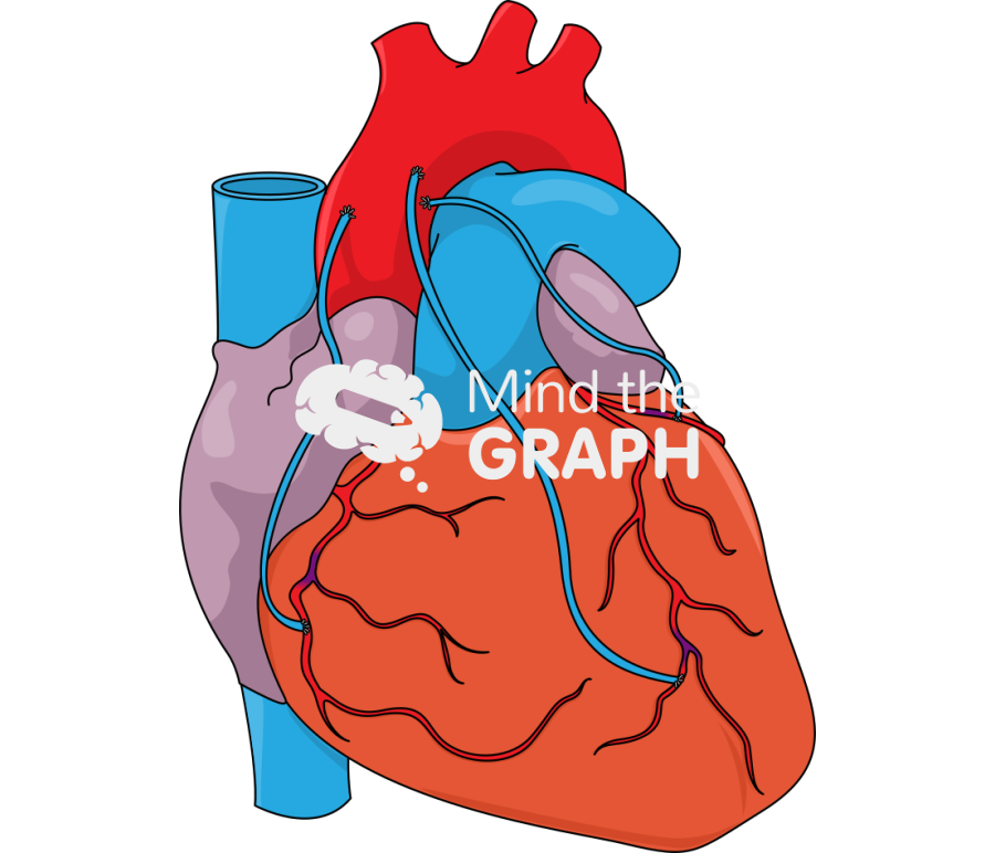 Coronary artery bypass grafting 6 Icons, Symbols, Pictures, and Images