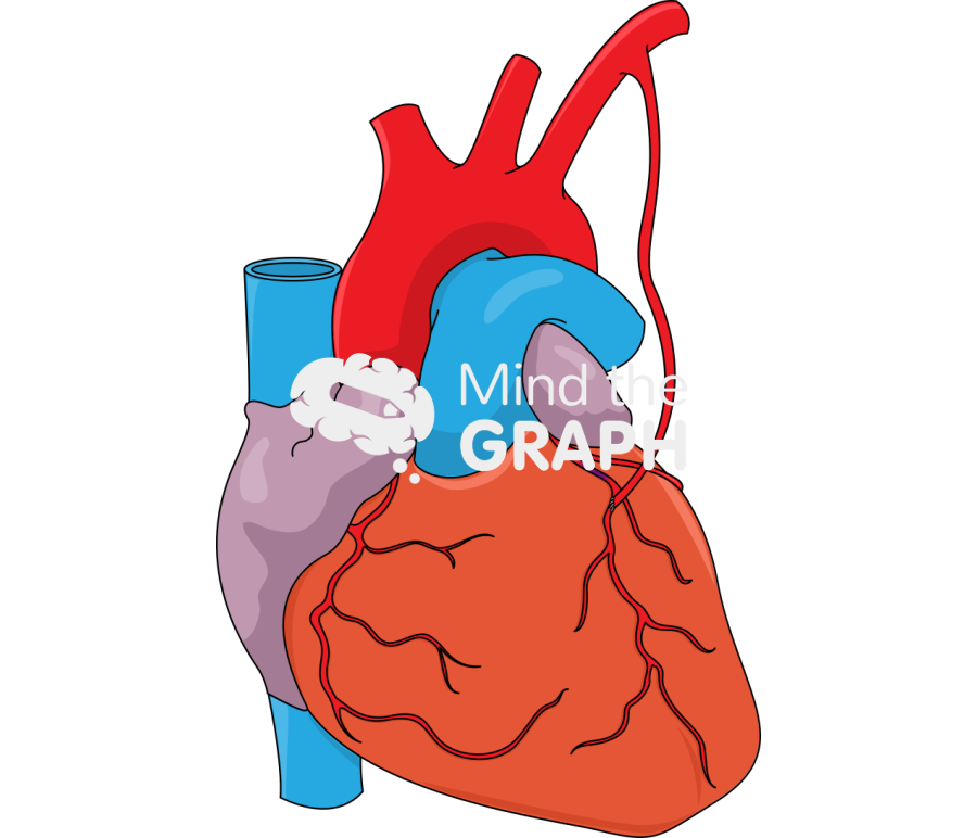 Coronary artery bypass grafting 7 Icons, Symbols, Pictures, and Images