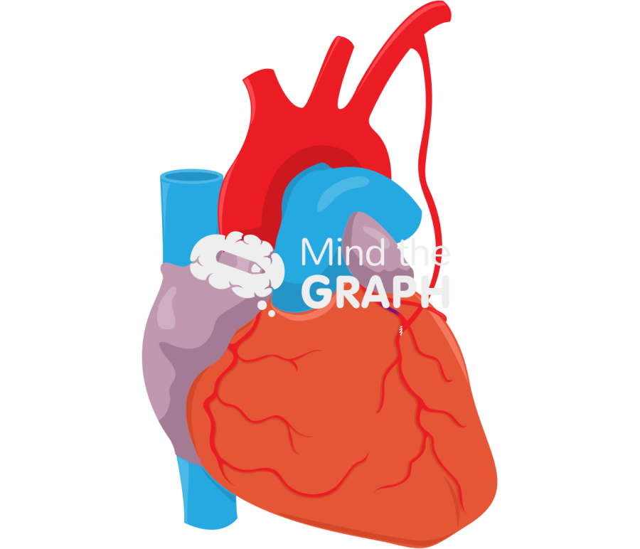 Coronary artery bypass grafting 7 Icons, Symbols, Pictures, and Images