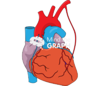 Coronary artery bypass grafting 8 - Edit and Customize Icons of Coronary artery bypass grafting 8 Coronary artery bypass grafting 8 Icons, Symbols, Pictures, and Images
