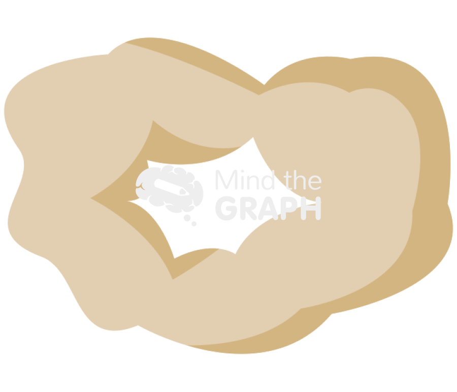 Corpus luteum regress rat estrous cycle Icons, Symbols, Pictures, and Images