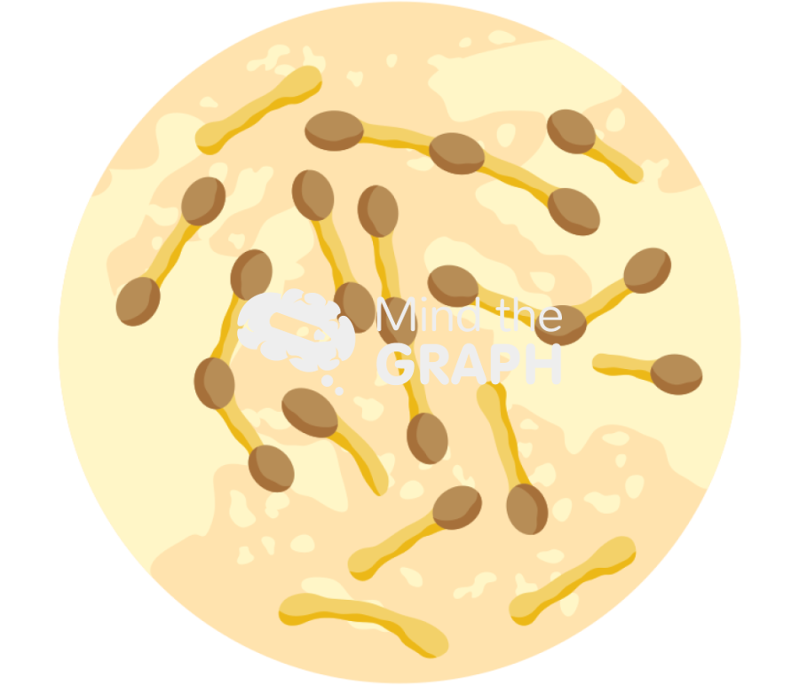 Corynebacterium diphtheriae zoom Icons, Symbols, Pictures, and Images