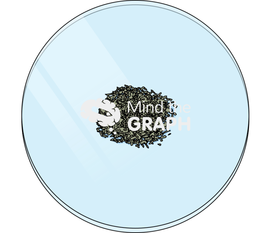 Costus spiralis dried leaves Icons, Symbols, Pictures, and Images