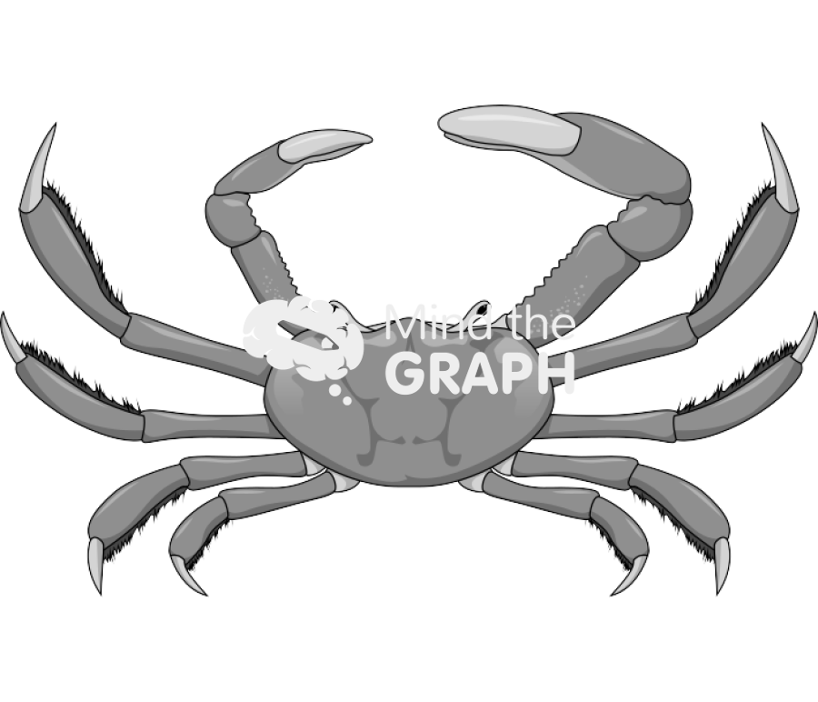 Crab Icons, Symbols, Pictures, and Images