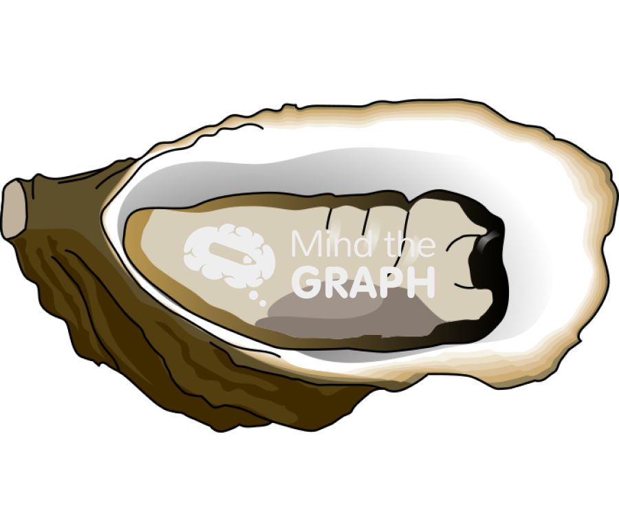 Crassostrea gigas open top Icons, Symbols, Pictures, and Images