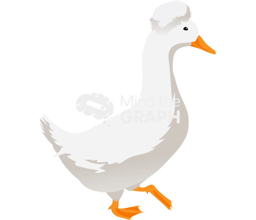 Crested duck walking lateral Icons, Symbols, Pictures, and Images