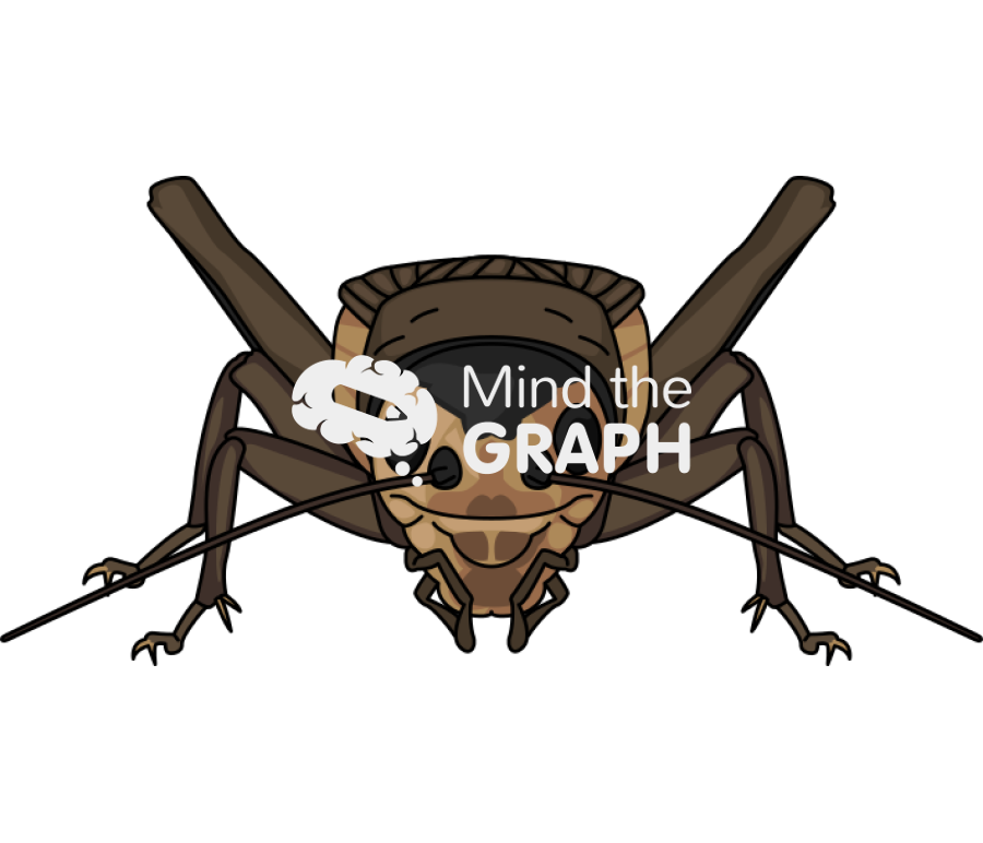 Cricket front view Icons, Symbols, Pictures, and Images