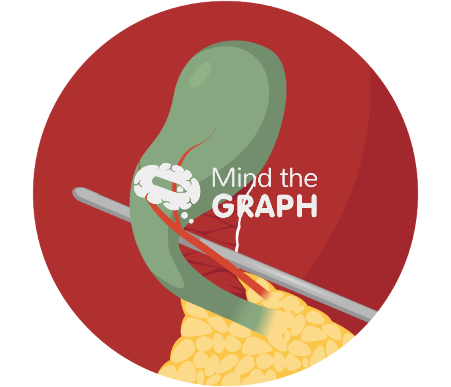 Critical view of safety cvs zoom Icons, Symbols, Pictures, and Images