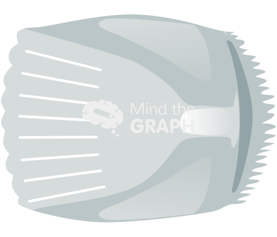 Ctenoid scale top Icons, Symbols, Pictures, and Images