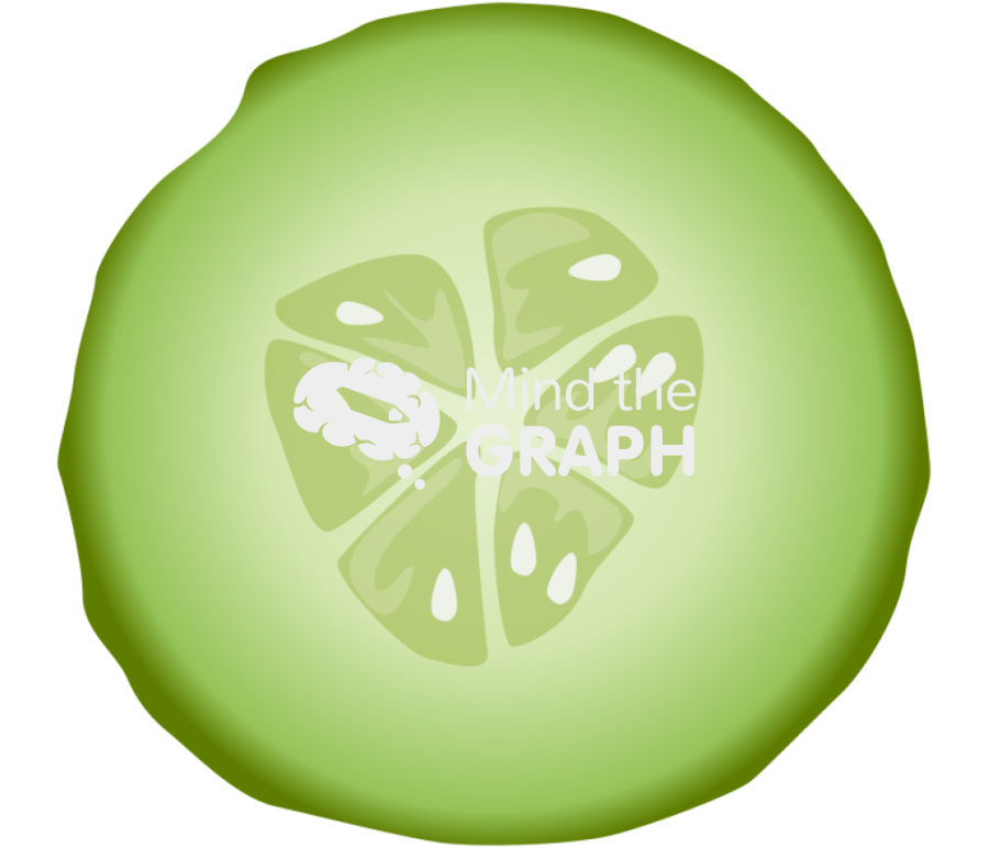 Cucumber front cut Icons, Symbols, Pictures, and Images