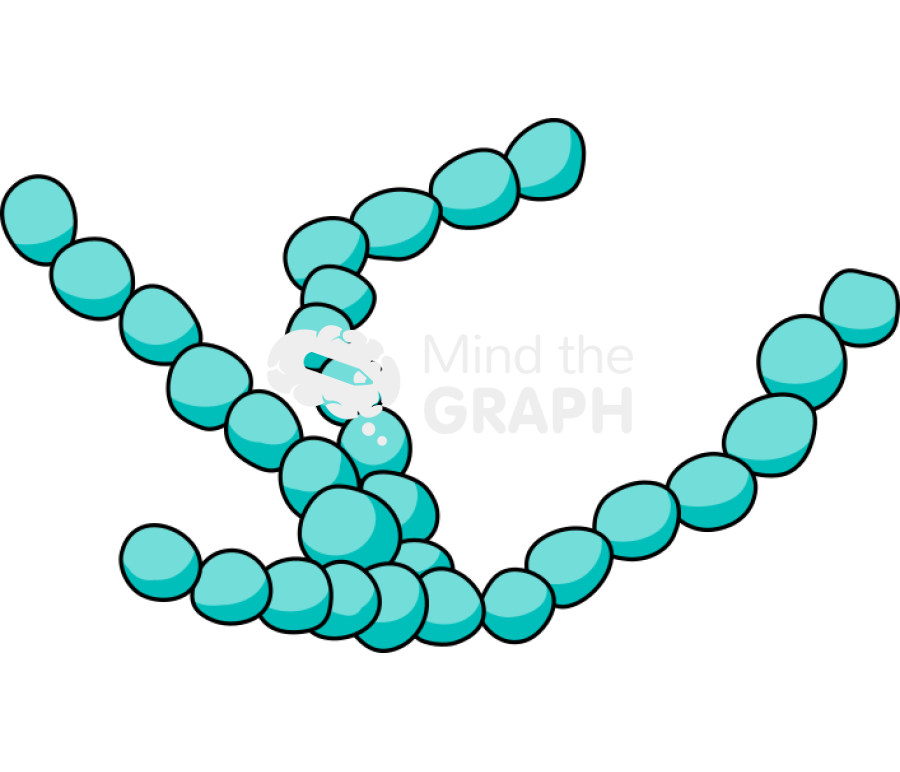 Cyanobacteria cyanophyta Icons, Symbols, Pictures, and Images