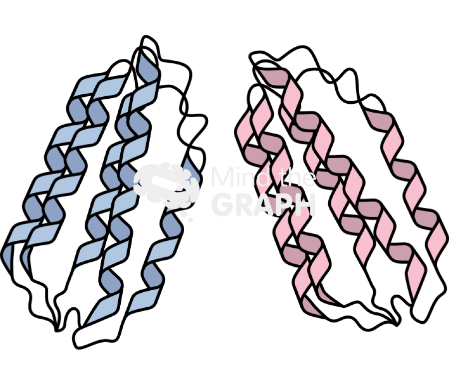 Cytokine receptor ifn beta structure Icons, Symbols, Pictures, and Images