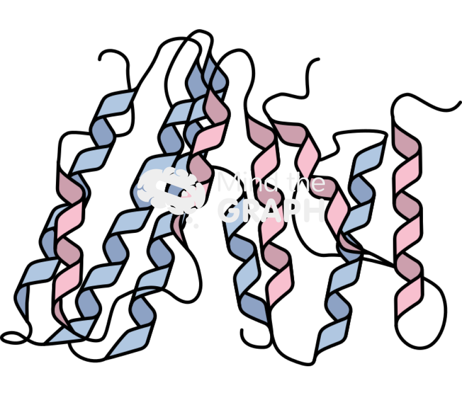 Cytokine receptor ifn gamma structure Icons, Symbols, Pictures, and Images