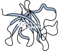 Cytokine receptor il1 structure - Edit and Customize Icons of Cytokine receptor il1 structure Cytokine receptor il1 structure Icons, Symbols, Pictures, and Images