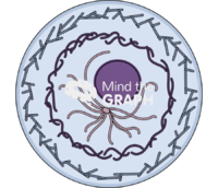 Cytoskeleton cell Icons, Symbols, Pictures, and Images