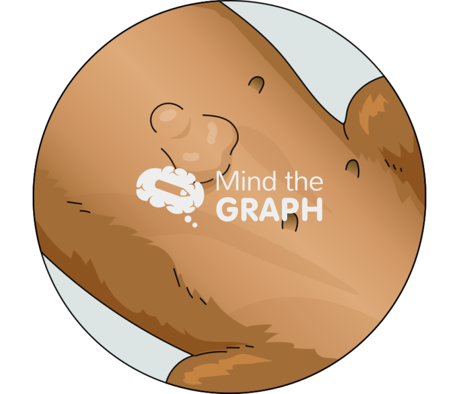 Dachshund dog mammary cancer zoom Icons, Symbols, Pictures, and Images