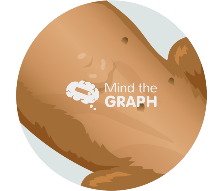 Dachshund dog mammary cancer zoom Icons, Symbols, Pictures, and Images