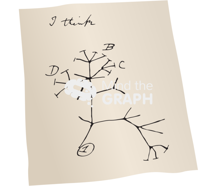 Darwin phylogenetic tree paper Icons, Symbols, Pictures, and Images