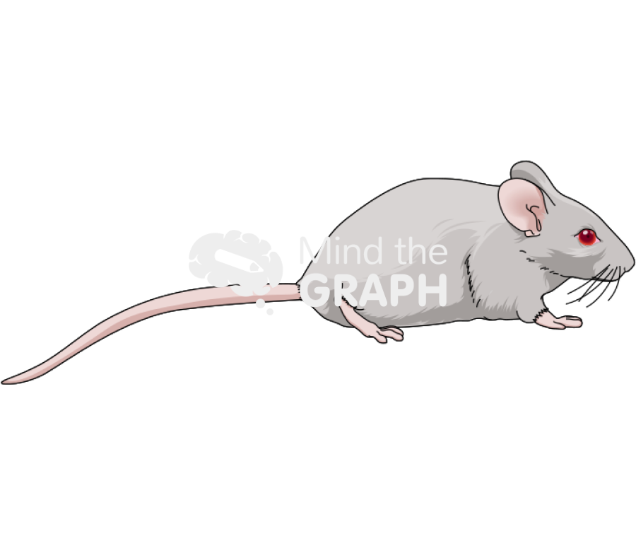 Dba 2 Icons, Symbols, Pictures, and Images